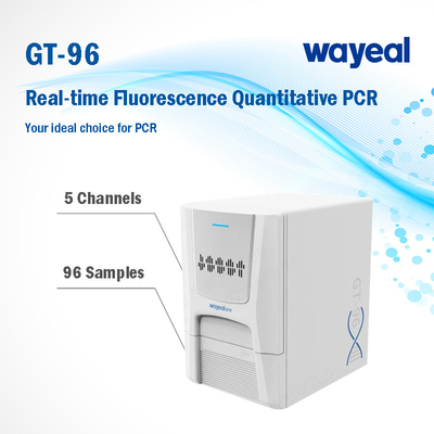 Schneller prüfender Realzeitfluoreszenz quantitativer PCR-Analysator 96 Wells 5 Kanäle