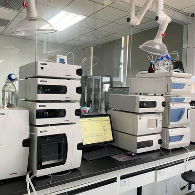 Qualität Testschlageinstellung, Testzeit 1800 Sekunden, Differenzdruck-Lecksucher mit AC220V-Arbeitsstrom für Leistung usine